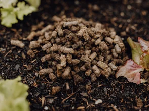 Das Produkt Wollstixx im Gartenbeet